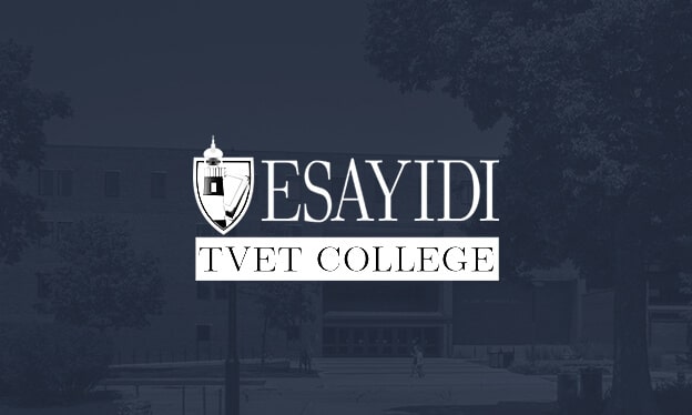 Institutions: TVETs 12 esayidi splash image 1
